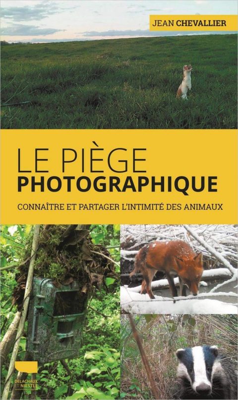 Combien D Animaux Sauve Un Végétarien Le piège photographique - L'écolomag