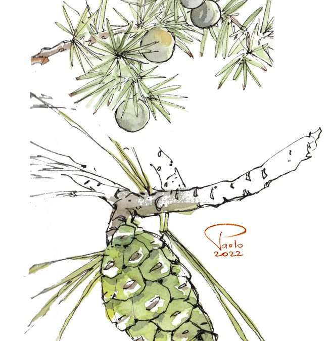 Bouger en Drôme Provençale