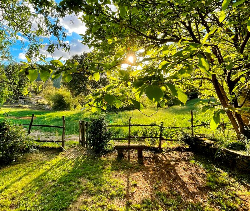 La Source – Un cadre naturel pour faire le plein d’énergie et rencontrer de grands experts