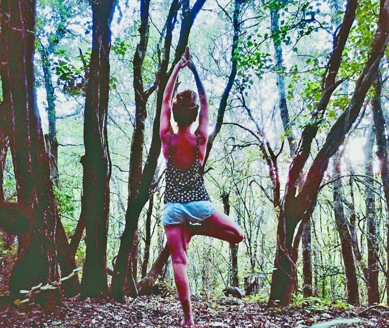 La posture de l’arbre