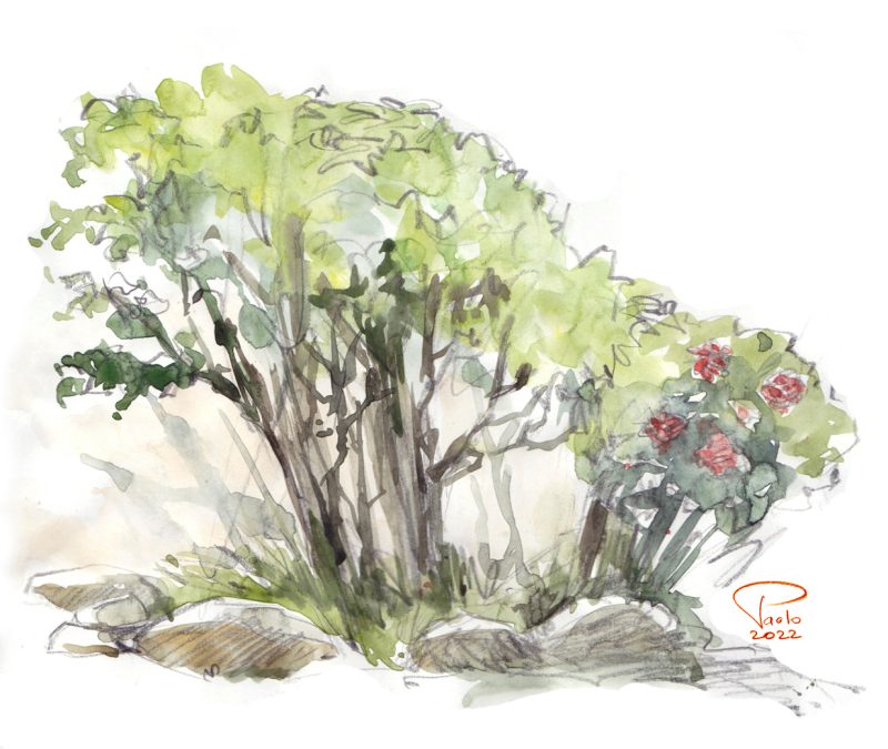 Bouger en Drôme Provençale